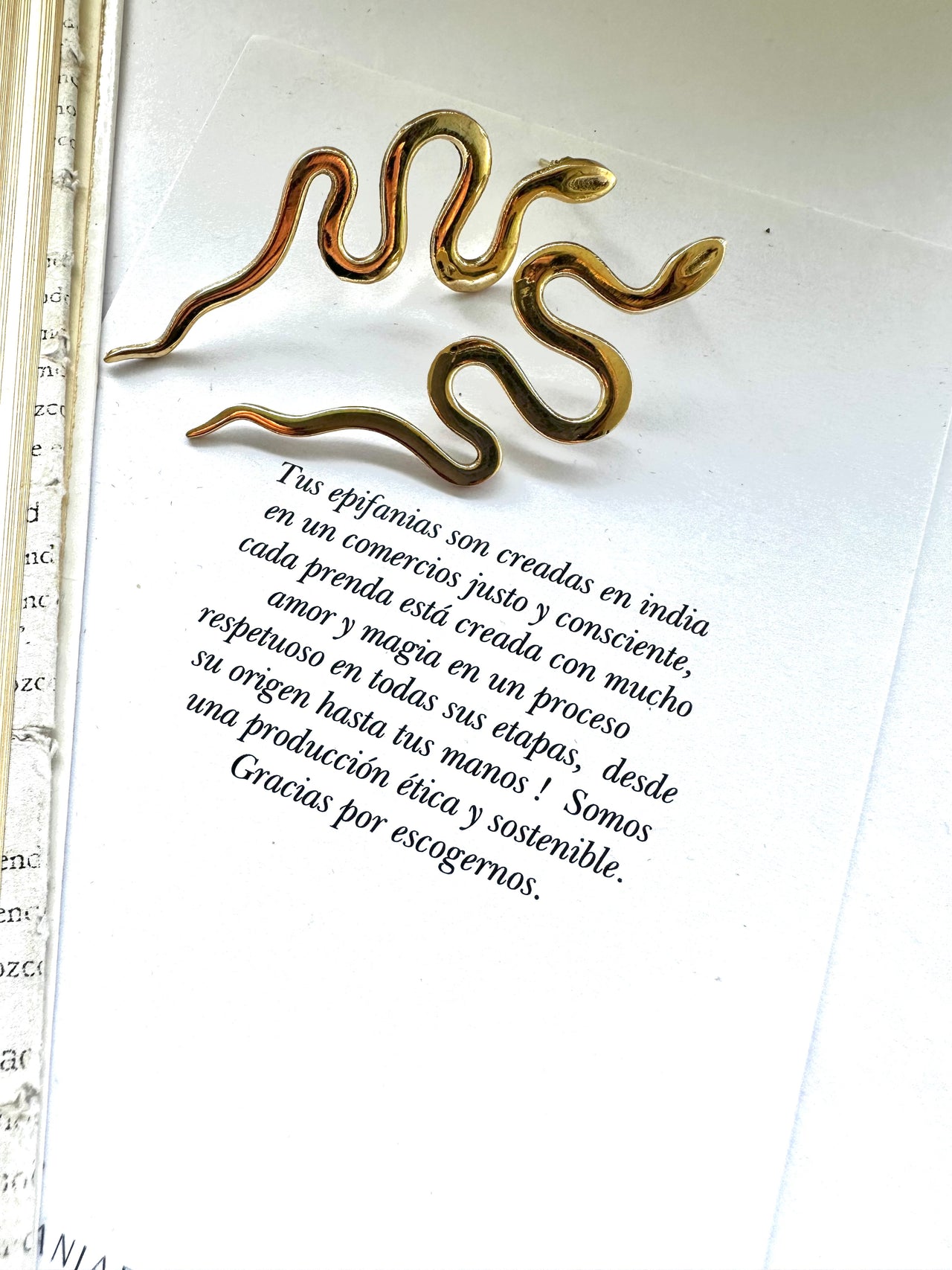 Aros de Bronce con Diseño de Serpiente